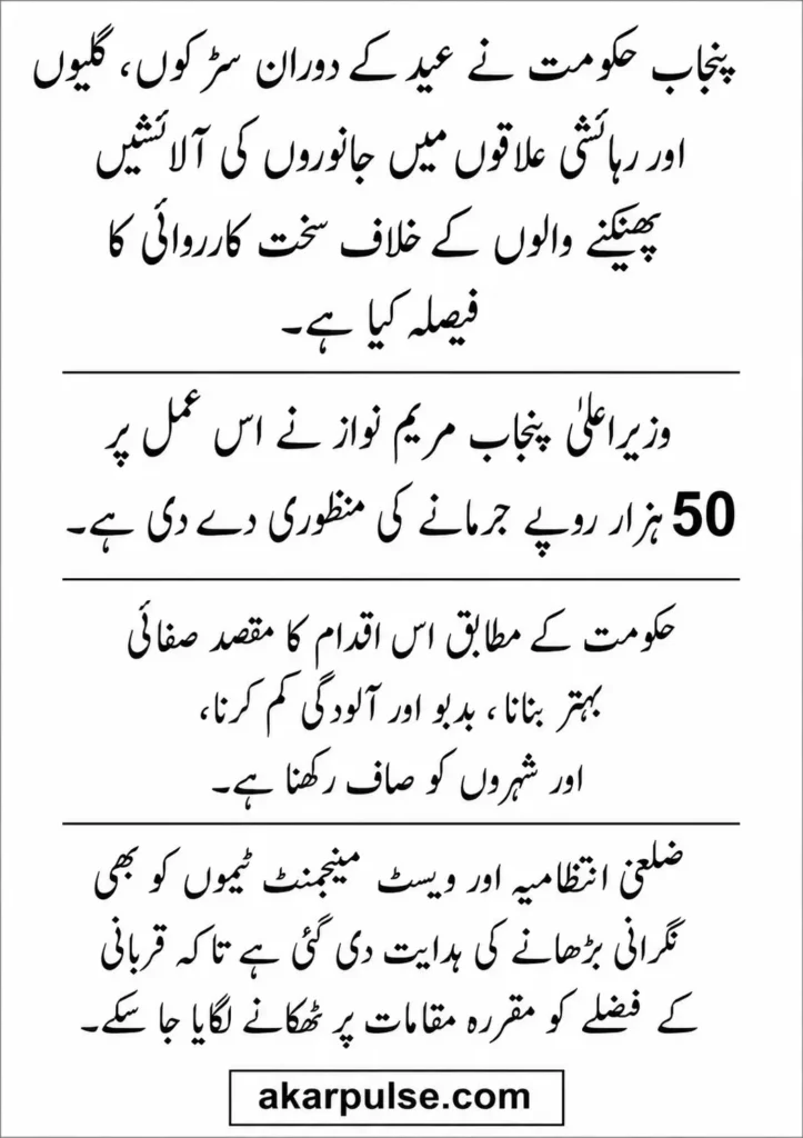 CM Punjab Maryam Nawaz Approves Rs50000 Fine in Punjab