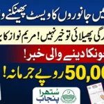 Maryam Nawaz Approves Rs50,000 Fine for Throwing Animal Waste in Streets and Neighborhoods