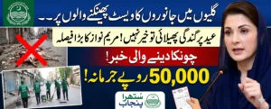 Maryam Nawaz Approves Rs50,000 Fine for Throwing Animal Waste in Streets and Neighborhoods
