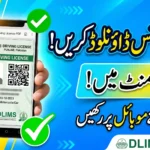 How to Get an e-License in Punjab Online: Avoid Traffic Fines
