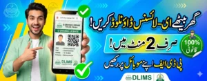 How to Get an e-License in Punjab Online: Avoid Traffic Fines
