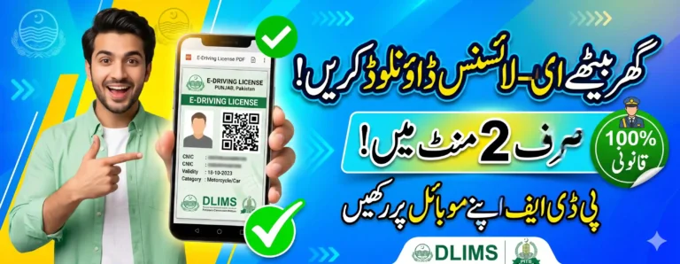 How to Get an e-License in Punjab Online: Avoid Traffic Fines
