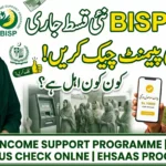 احساس پروگرام 8171 پیسے چیک کرنے کا طریقہ 2026 – گھر بیٹھے ادائیگی اور اہلیت معلوم کریں