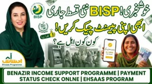 احساس پروگرام 8171 پیسے چیک کرنے کا طریقہ 2026 – گھر بیٹھے ادائیگی اور اہلیت معلوم کریں